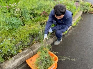 3年　花壇1